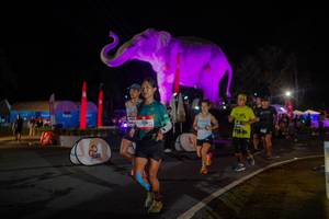 BIB: 
                            <button type="button" onclick="openModal(26552129)" class="btn btn-primary btn-sm float-right btn-popup" data-toggle="modal" data-target=".modal-high-quality">
                        <i class="fas fa-shopping-cart"></i> Add to Cart
                    </button>
                                            <button type="button" onclick="isThisMe(26552129, true)" class="btn btn-success btn-sm float-right btn-popup btn-isme hidden" data-toggle="tooltip" data-placement="bottom" title="นี่คือรูปของคุณใช่ไหม คลิกที่นี่เพื่อเอาเข้าอัลบั้ม">
                        <i class="fas fa-plus"></i> Add to album
                    </button>
                    <button type="button" onclick="isThisMe(26552129, false)" class="btn btn-warning btn-sm float-right btn-popup btn-isnotme hidden">
                        <i class="fas fa-ban"></i> Remove from album
                    </button>